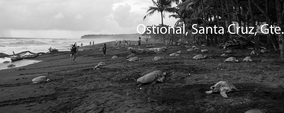 Cabinas Surf Arribadas Ostional Wildlife Refuge Extérieur photo